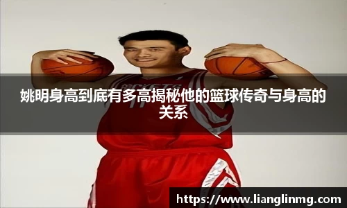 姚明身高到底有多高揭秘他的篮球传奇与身高的关系