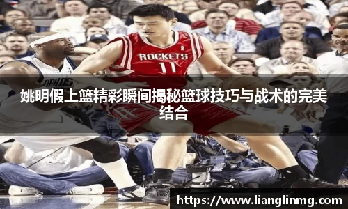 姚明假上篮精彩瞬间揭秘篮球技巧与战术的完美结合